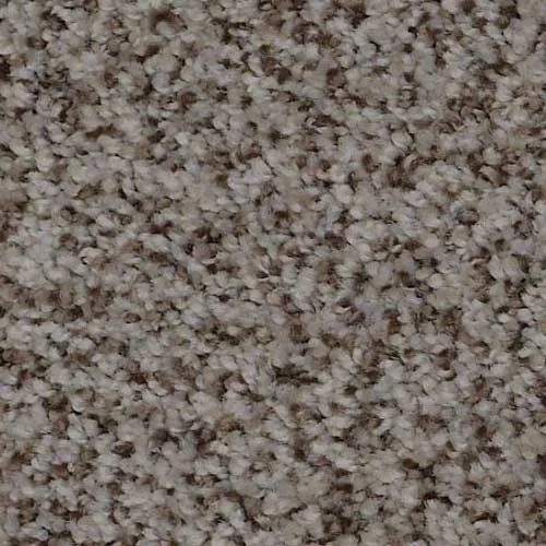 In-stock polyester carpet from 3 Kings Flooring in Ft. Wayne, IN