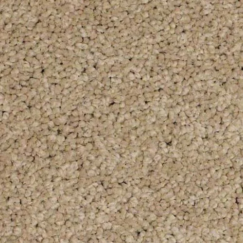 In-stock nylon carpet from 3 Kings Flooring in Ft. Wayne, IN